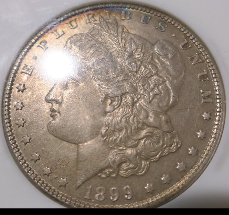 You-Vs-NGC-1899-O-Morgan-Dollar